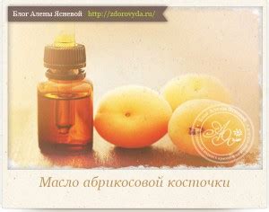 Преимущества и применение персикового и абрикосового масел