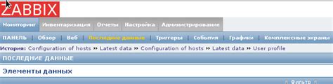 Преимущества русского языка в Zabbix на Ubuntu