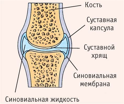 Причины возникновения вакуум феномена в коленном суставе