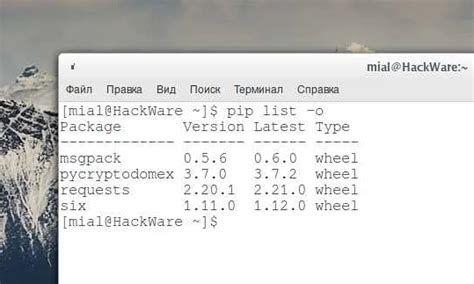 Проверка предустановленных пакетов Python