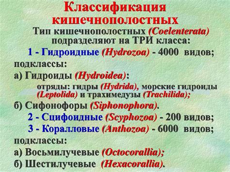 Происхождение и значение