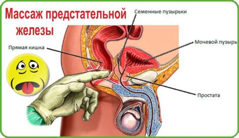 Раздел 4: Техника массажа простаты языком
