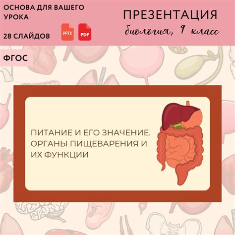 Расстройства пищеварения и плохое питание