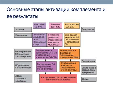 Результаты активации