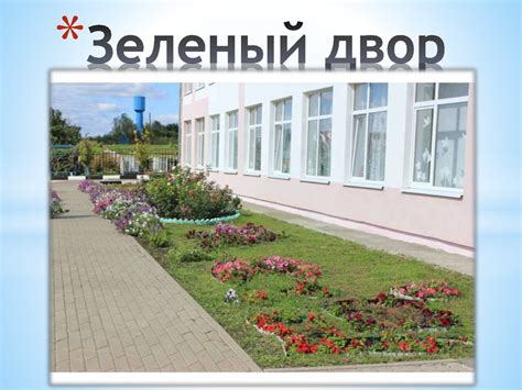 Реконструкция школьного двора и озеленение