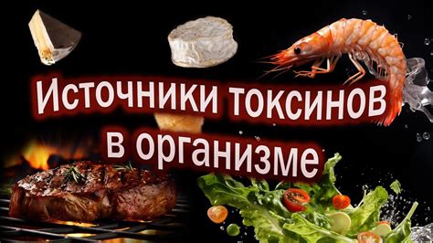 Роль пищевых продуктов в усилении токсинов