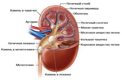Сбой функций почек