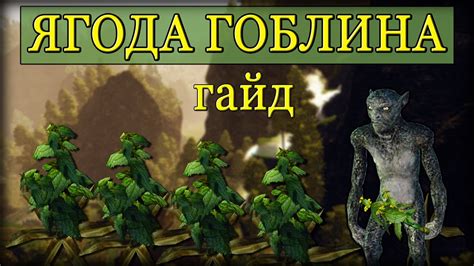 Сбор и подготовка трав и редких ингредиентов