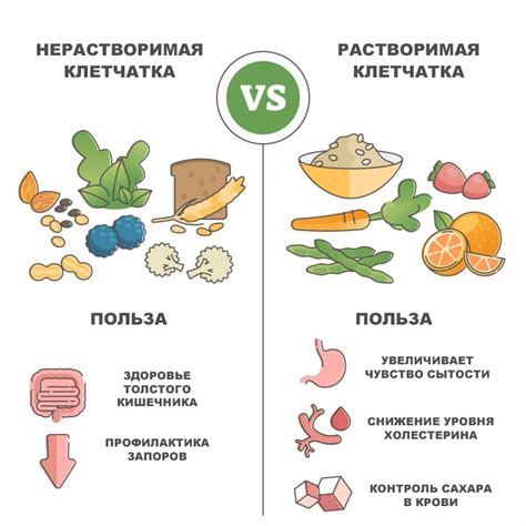 Свойства и структура перивезикальной клетчатки