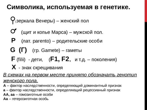 Символика зеркала