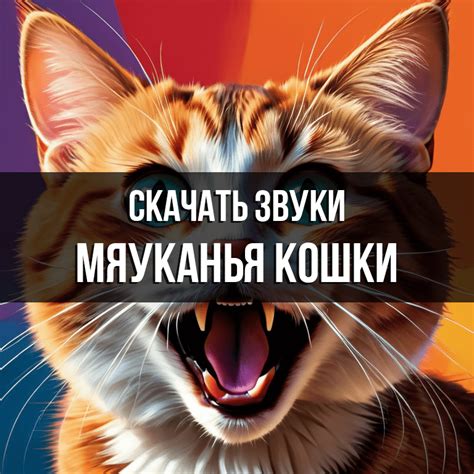 Символика мяуканья кошки в сновидениях