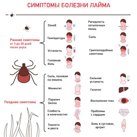 Симптомы опасного инфицирования после укуса