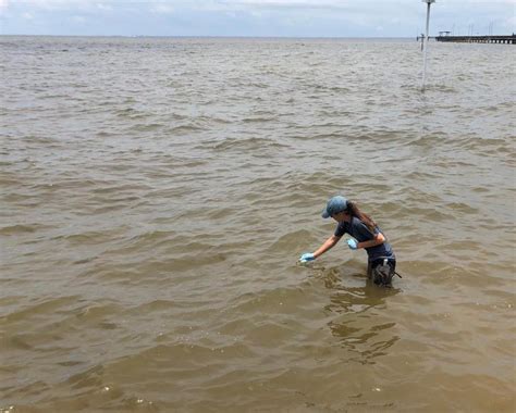 Сны о покойнике в грязной воде: значение и толкование