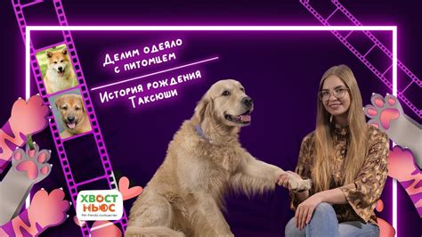 Сон о плавающей собаке: происхождение символа