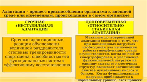 Способность к адаптации и гибкости - основа успешной работы в динамичной среде