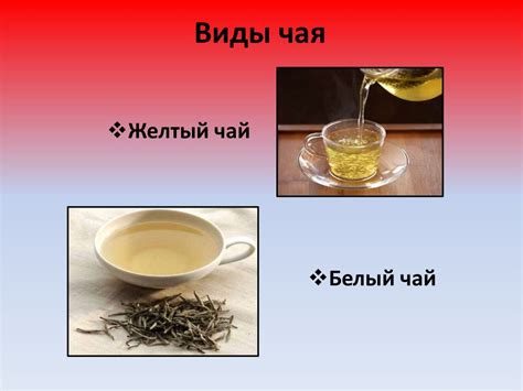 Способы заваривания чая из цикория: