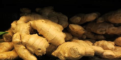 Способы сохранения и хранения готового зелья