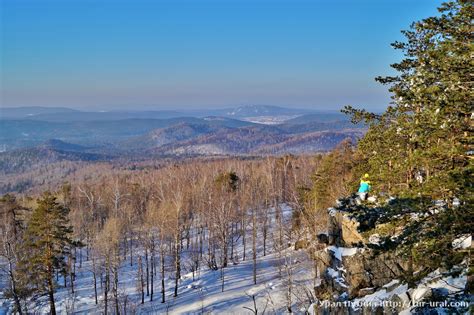 Стоимость чертового пальца на современном рынке