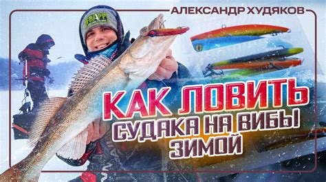 Техника ловли судака: секреты успеха
