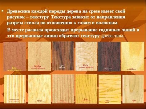 Толщина коры