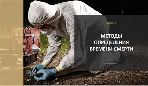 Точные методы определения смерти по ИНН