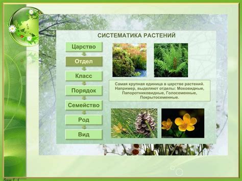 Удивительное разнообразие организмов