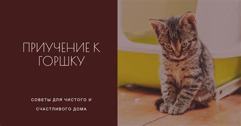 Установите вытяжку в нужном месте