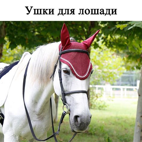 Финальные штрихи: как прикрепить ушки к лошади