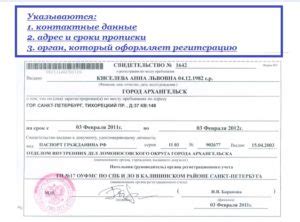 Форма 8 с красной печатью: основная информация