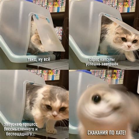 Частые посещения лотка