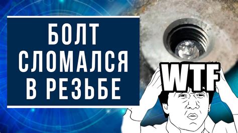 Что делать, если пломбиратор сломался