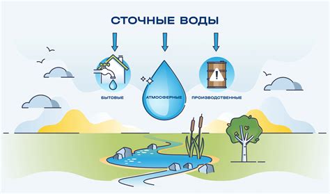Шаги для очистки северной куропатки