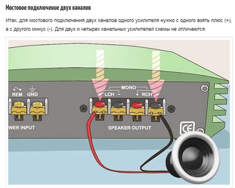 Шаг 3: Подключение колонок к усилителю