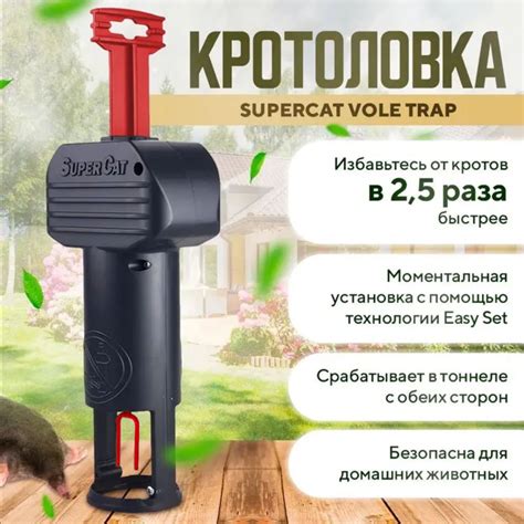 Шаг 5: привлечение кротов в кротоловку