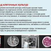 Шаг 7. Глажка тканей