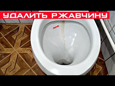 Эффективные средства для расчистки унитаза