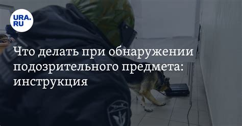  Что делать при обнаружении штрафа 