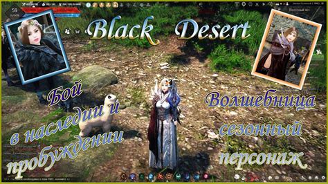 Black Desert - все о пробуждении и наследии