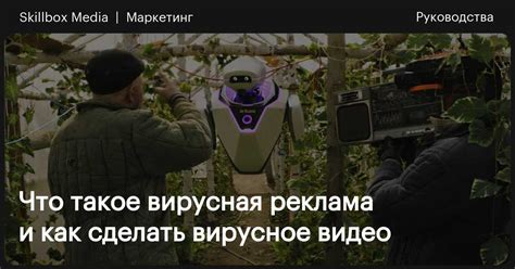 Вирусное видео: популярность и размещение