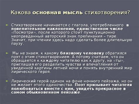 Заключительные мысли и впечатления от стихотворения