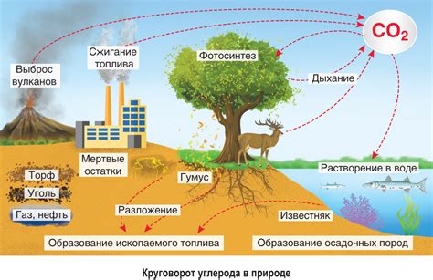 Какие факторы влияют на выделение ресурсов для звонков