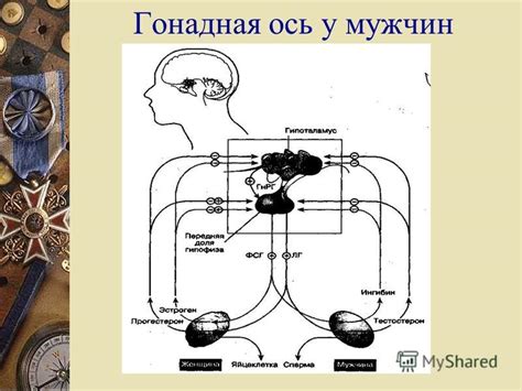 Причины исчерпания лимита