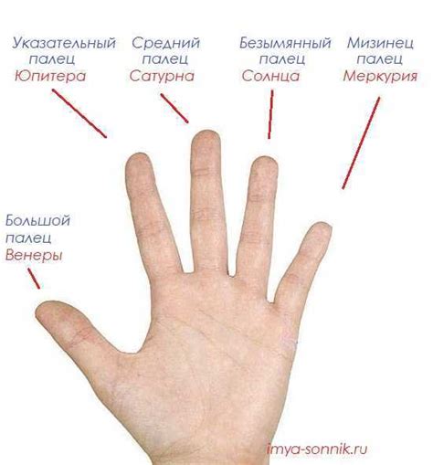 Символическое значение пальцев в культуре