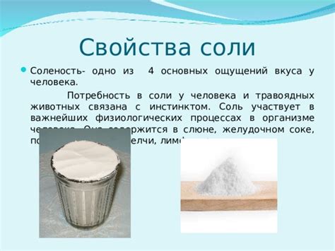 Соленость вкуса