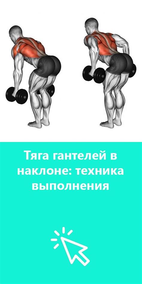 Упражнение для спины: тяга гантелей в наклоне