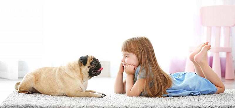 собаку для ребенка