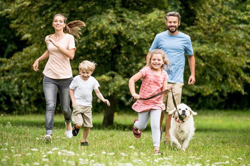 собаку и семья