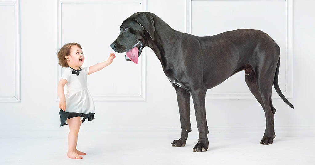 собака для ребенка