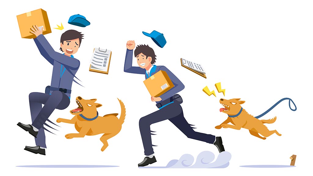  СОБАКА ДЛЯ ОХРАНЫ ЧАСТНОГО ДОМА