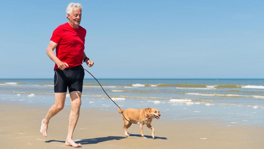  собаки людям преклонного возраста